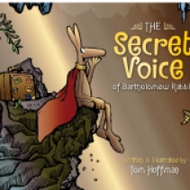 Secret Voice cover 2